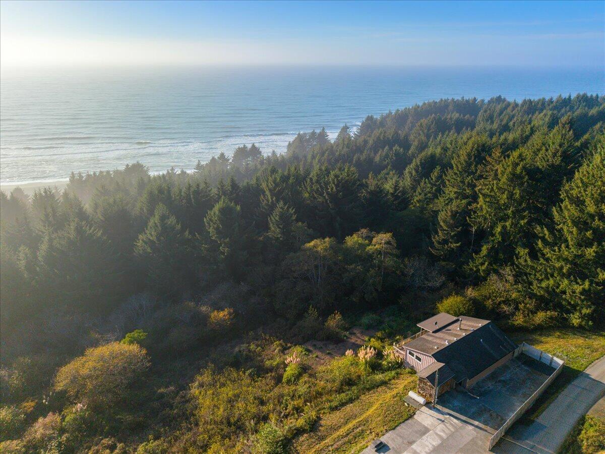 Aerial view of a coastal home beside forest, with the ocean and shoreline in the distance.