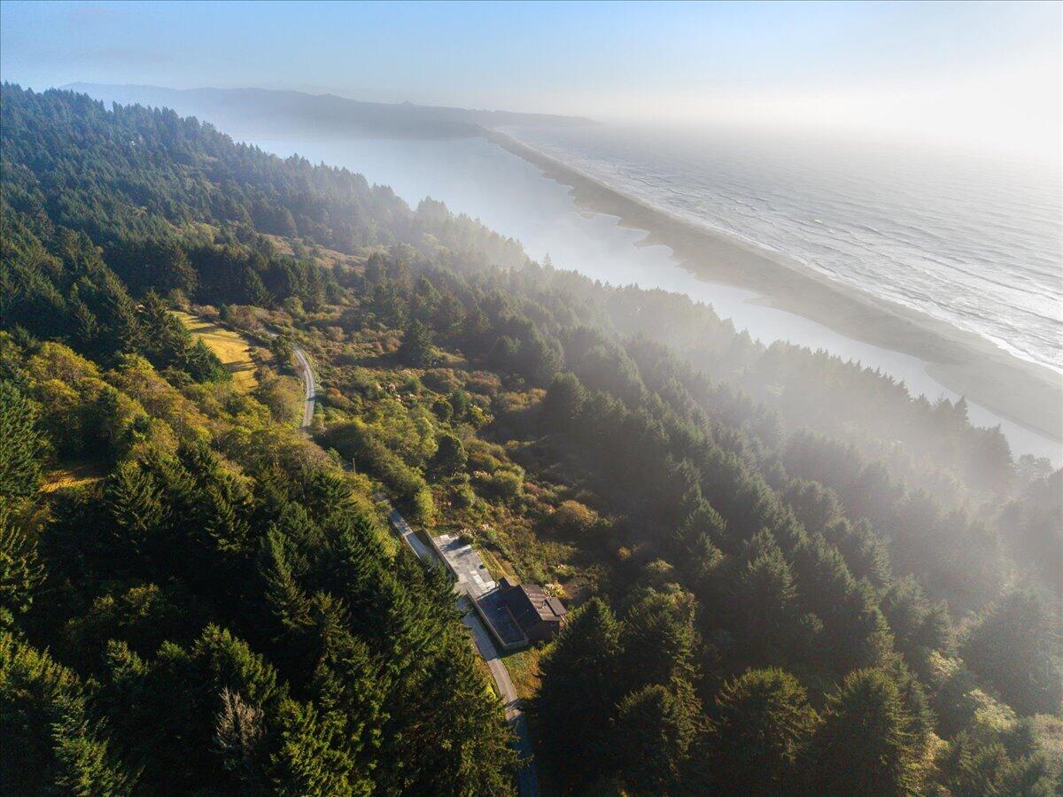 Coastal home amid forest, with a winding driveway and ocean beach stretching into the distance.