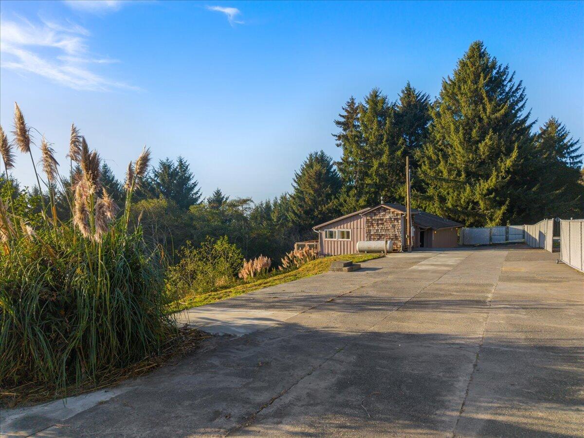 Brown-sided outbuilding at the end of a wide concrete driveway, bordered by evergreens and tall grasses.