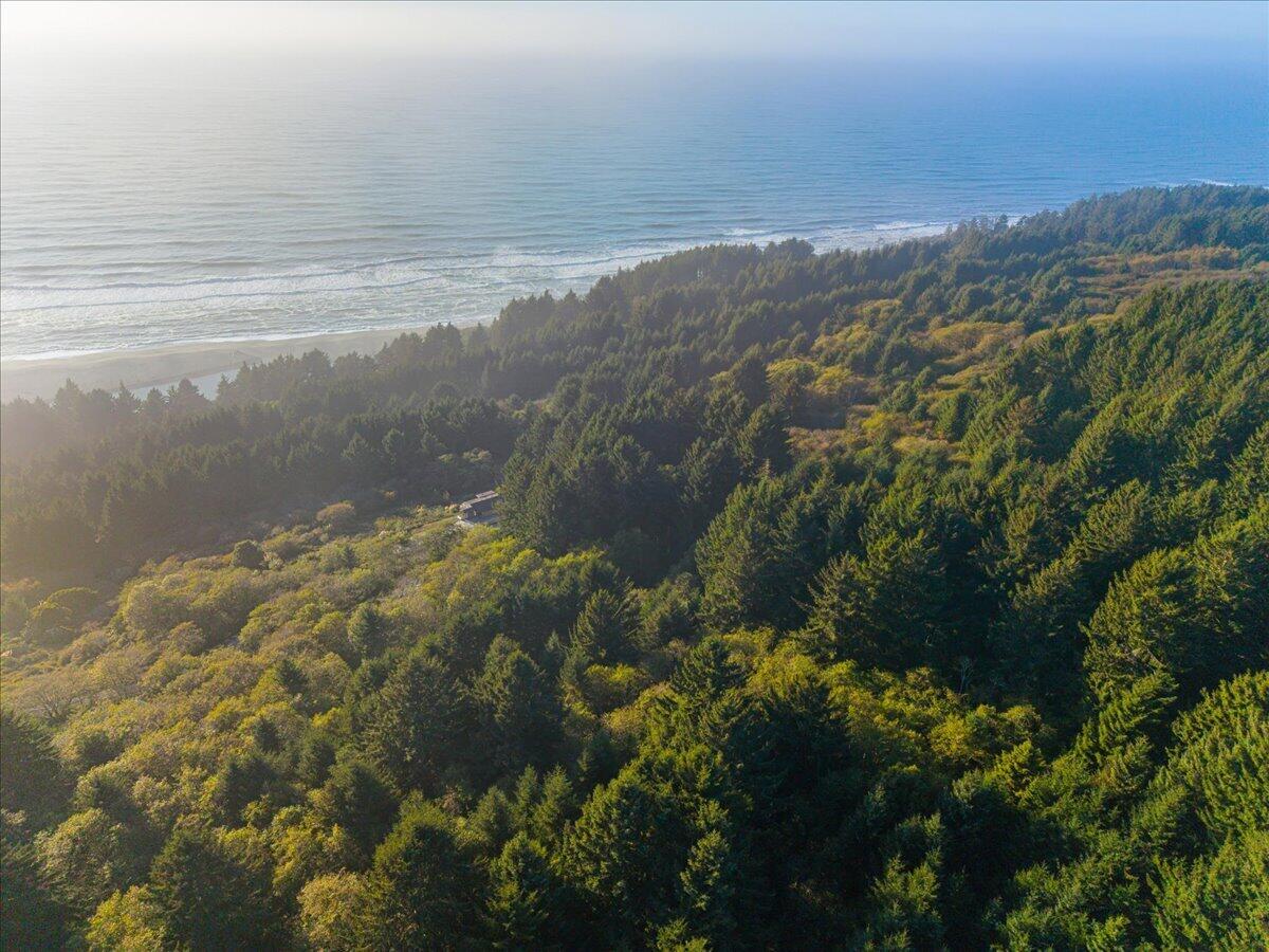 Aerial view of forested coastline beside the Pacific Ocean, with a small roof nestled among the trees.