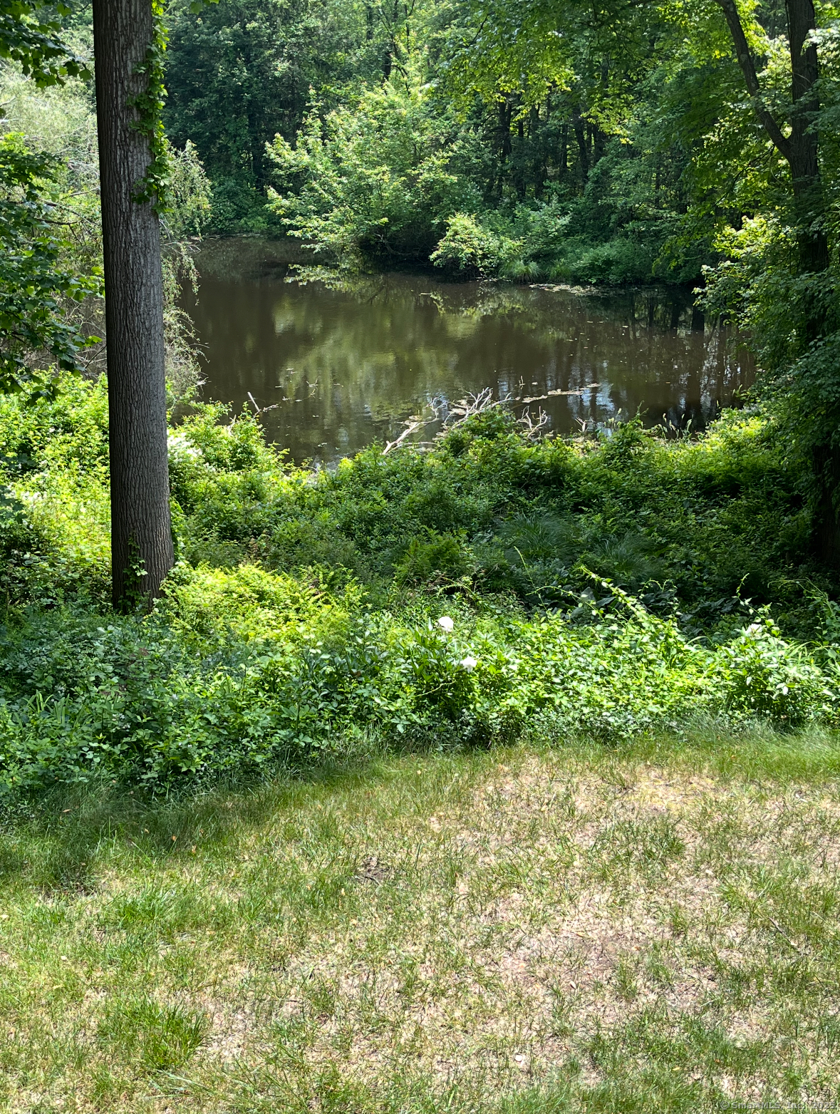 305 Rimmon Road