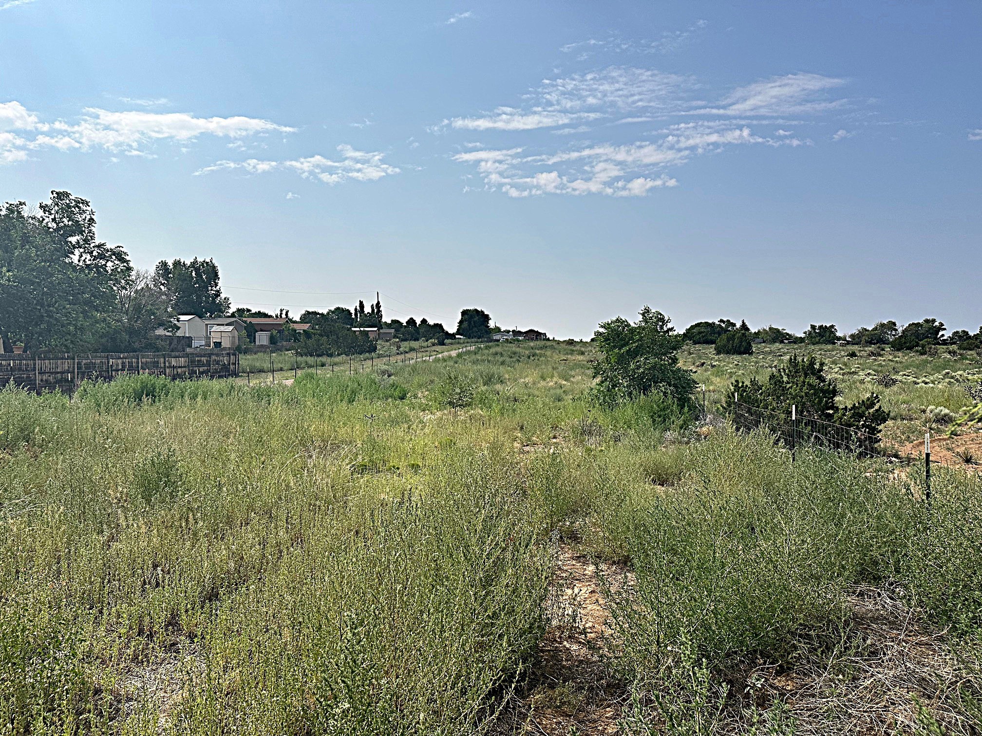 3542 Rufina A