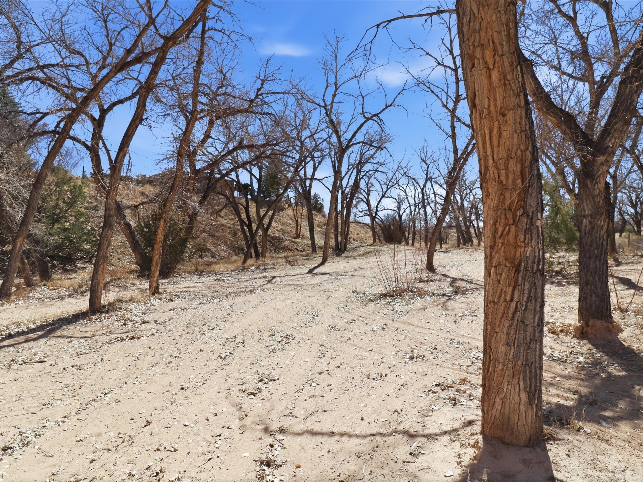 101A County Road 120