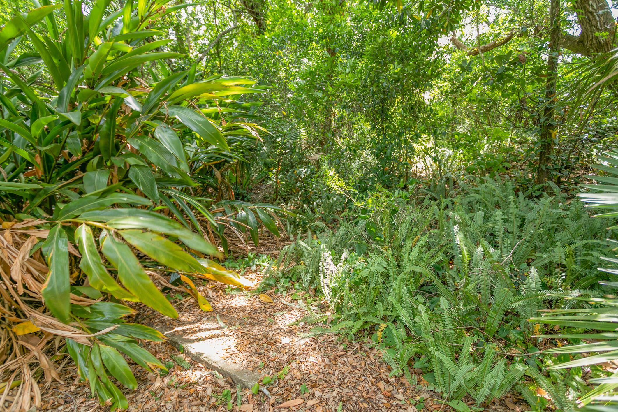 14 Willow Dr