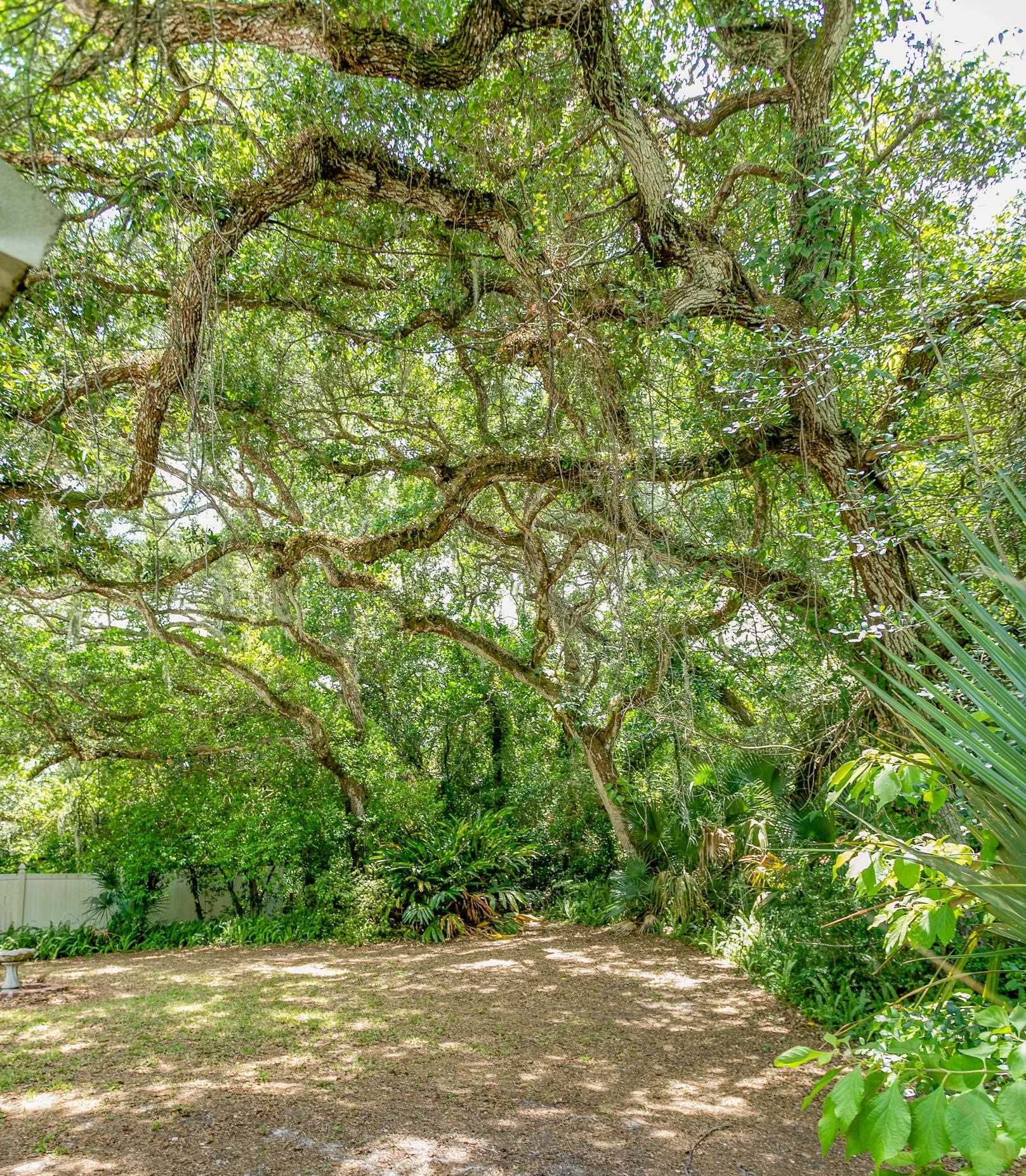 14 Willow Dr