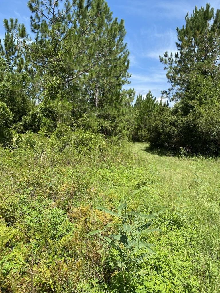 550 W River Road