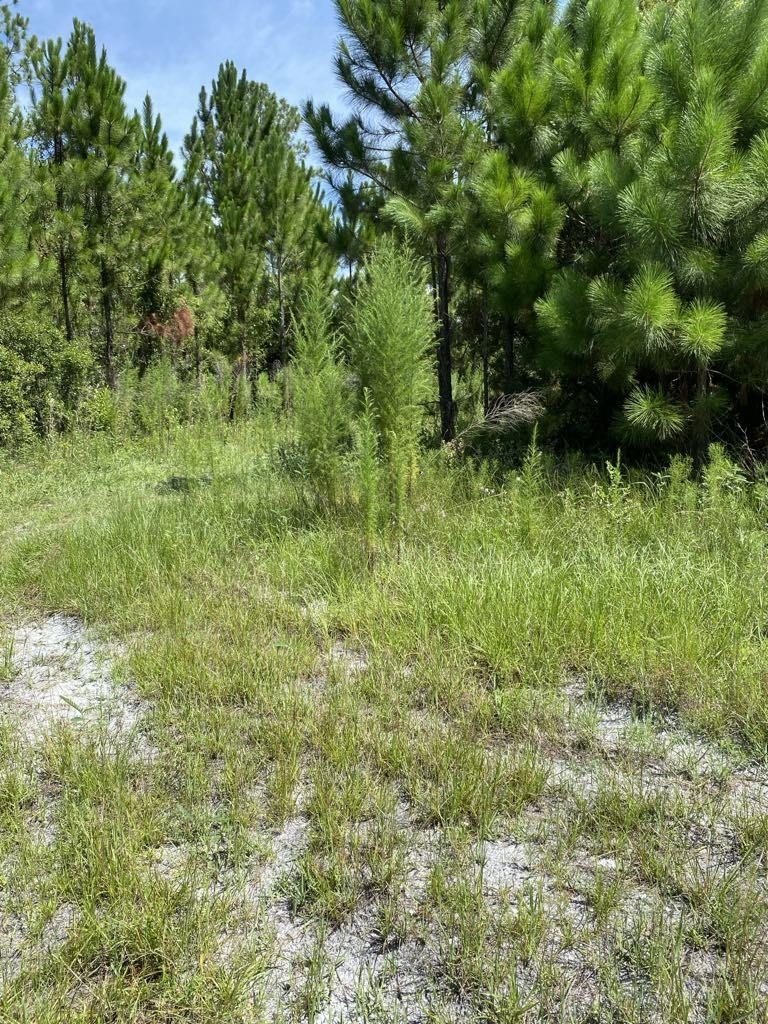 550 W River Road