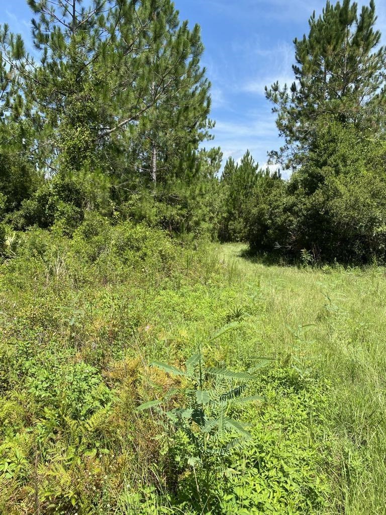 550 W River Road