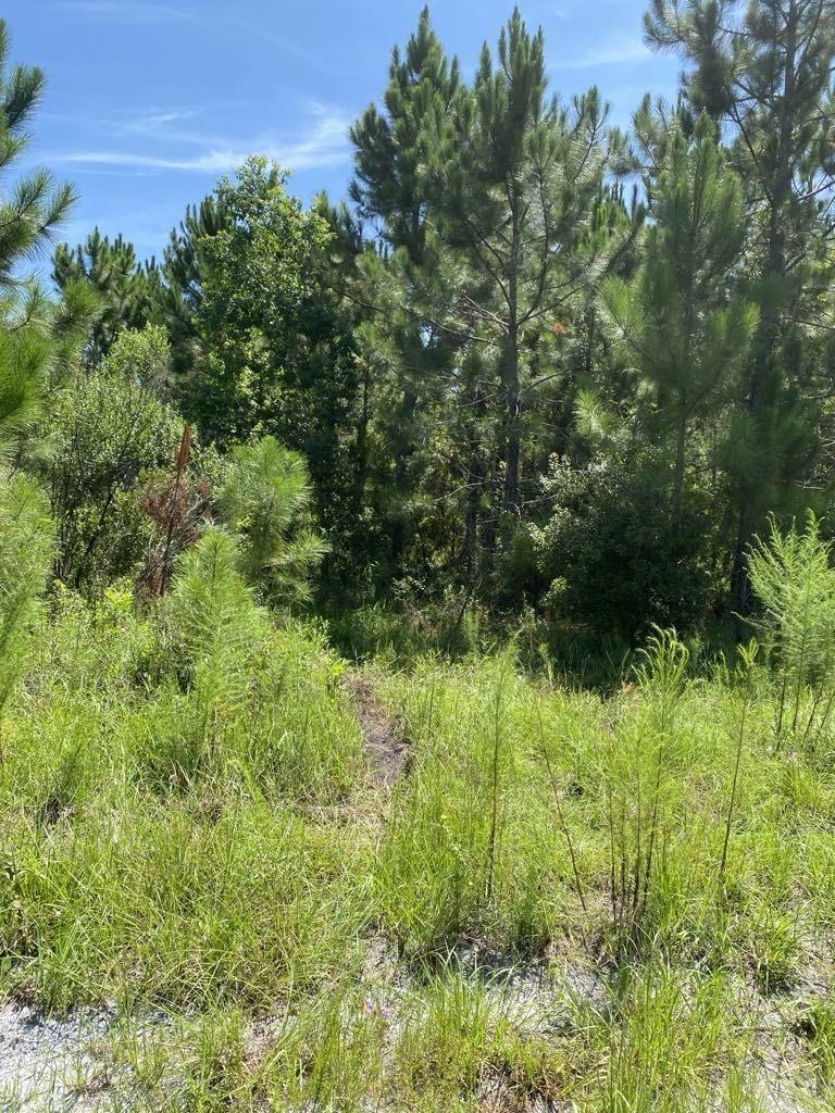 550 W River Road