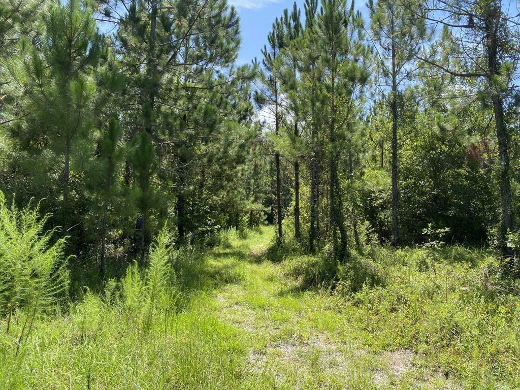 550 W River Road