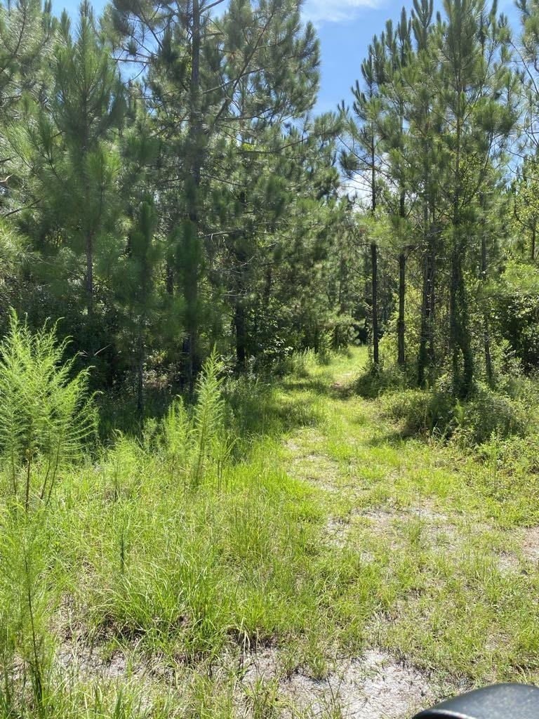 550 W River Road