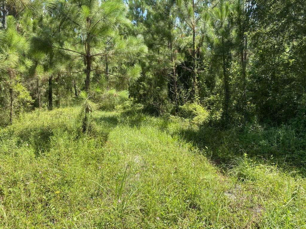 550 W River Road