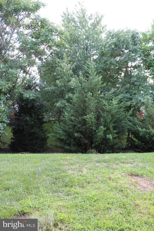 444 PEMBERTON PARK LANE