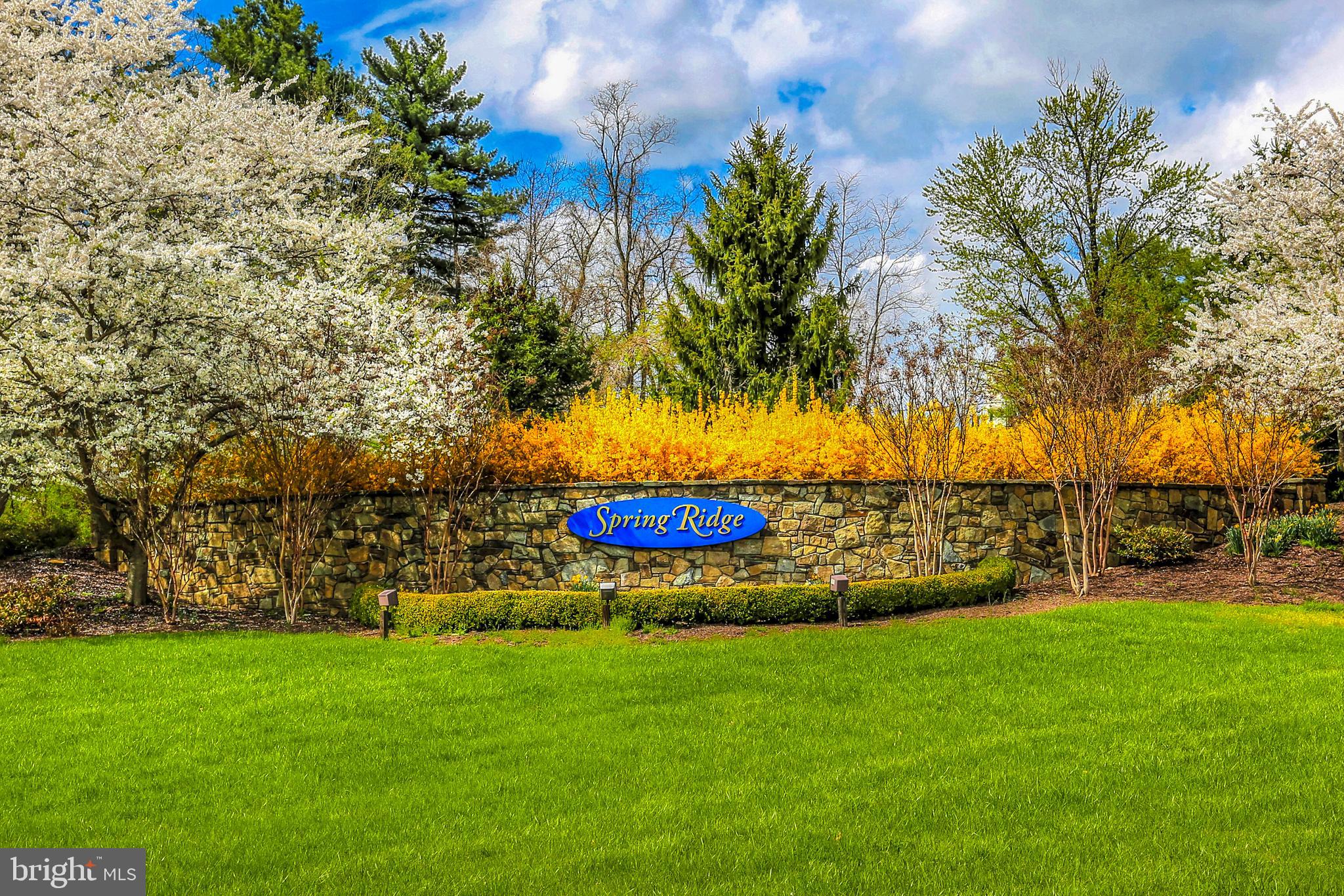 6343 SPRINGWATER TERRACE 1033