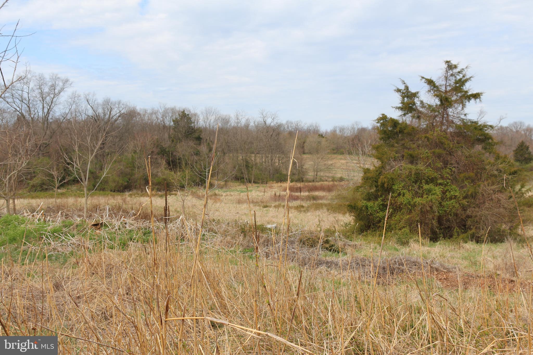 8842 SHARPSBURG PIKE