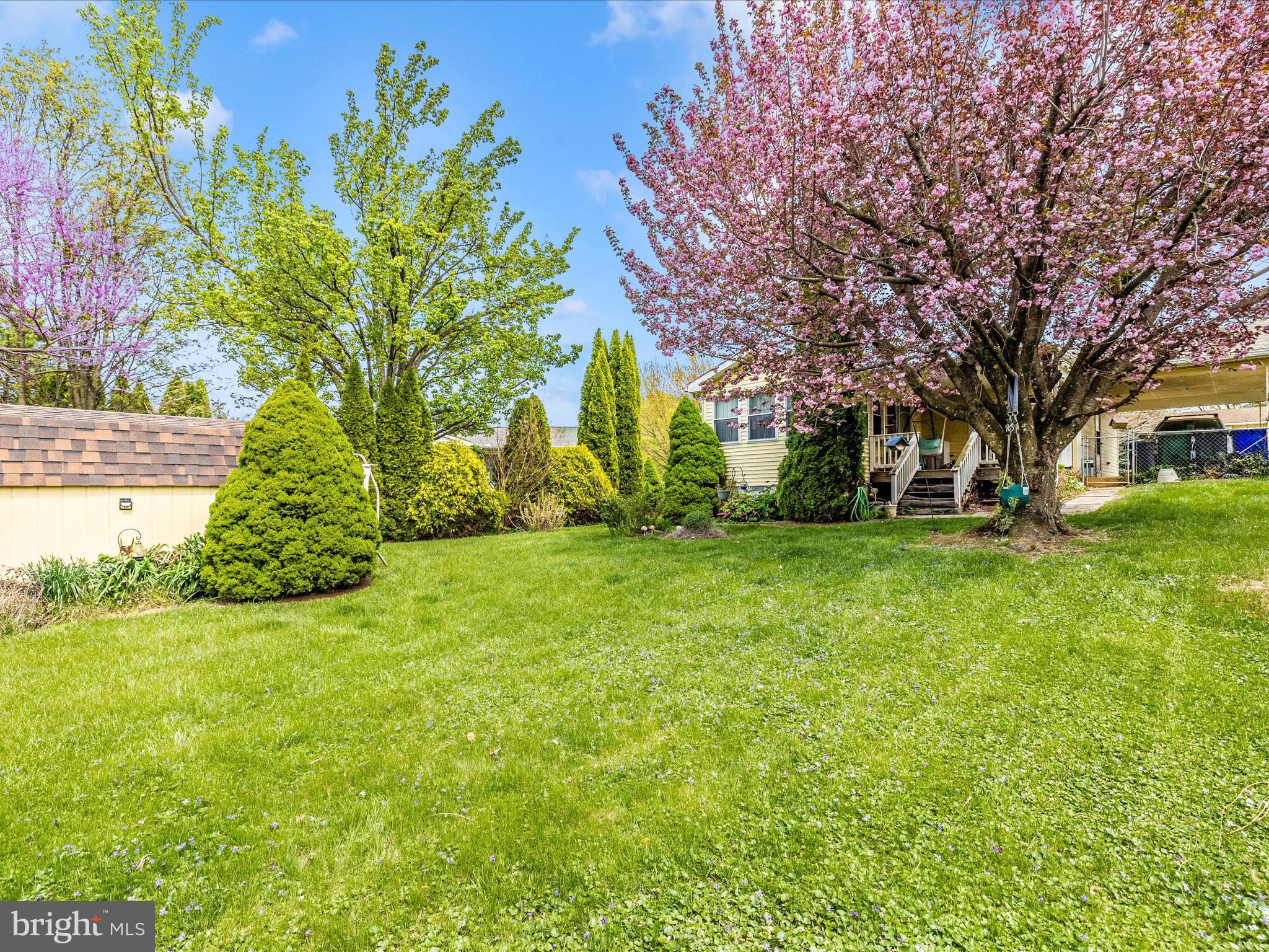 1341 CEDARWOOD DRIVE