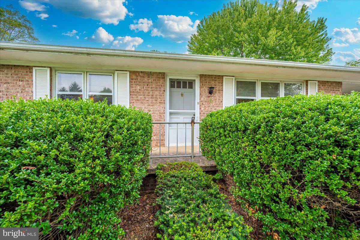 113 ORCHARD DRIVE