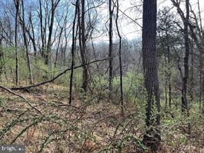 Lot 10 SHANKTOWN ROAD