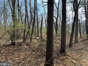 Lot 10 SHANKTOWN ROAD