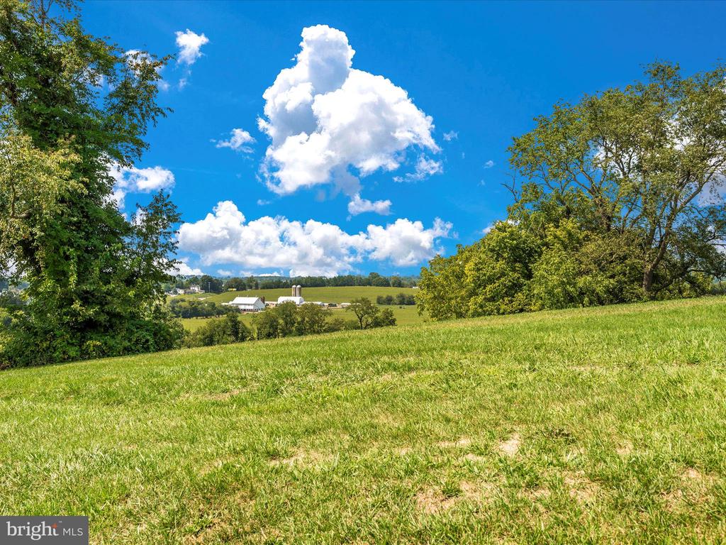 12885 SPRING AIRE CIRCLE