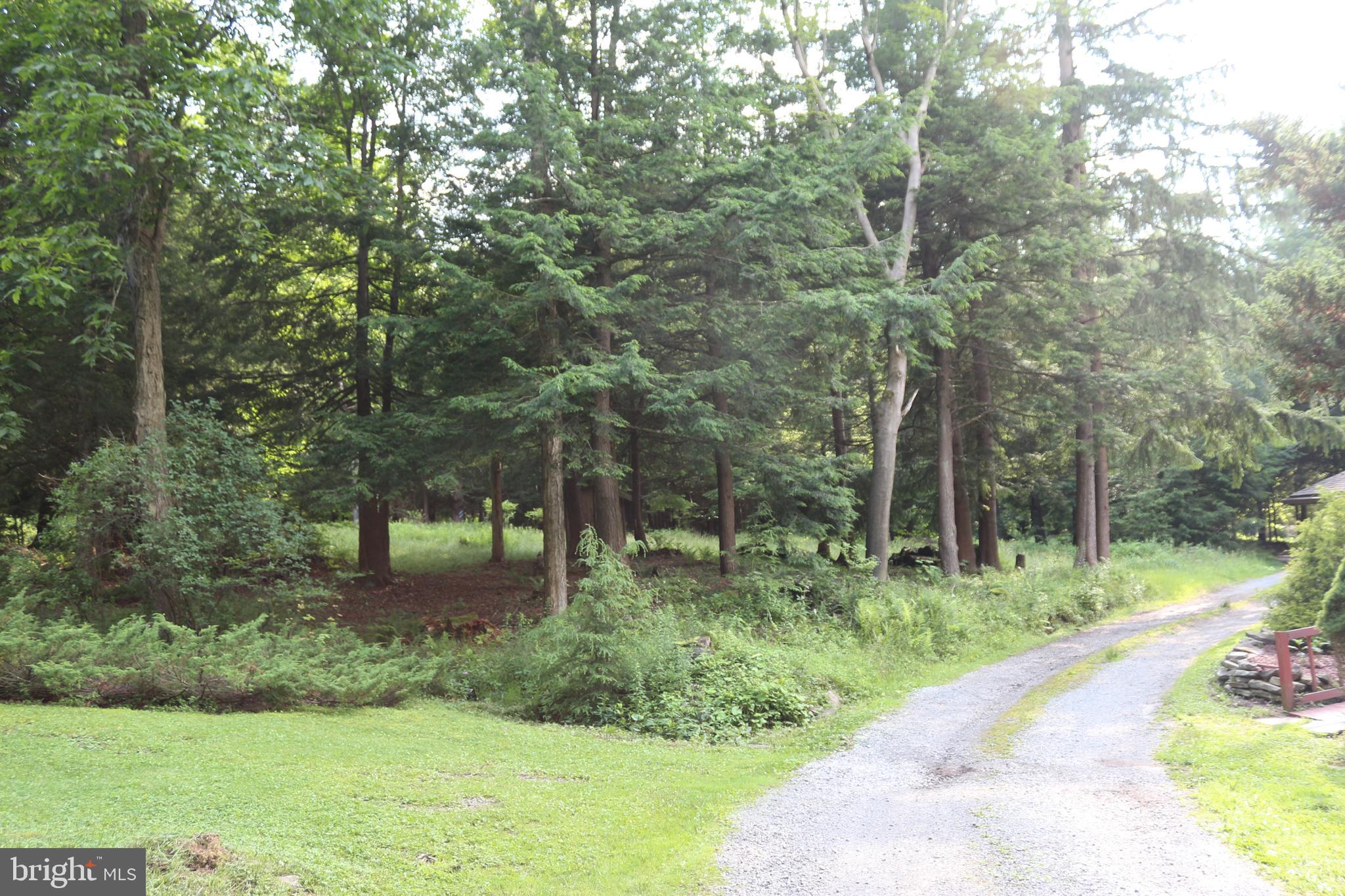 170 DAVIS LANE