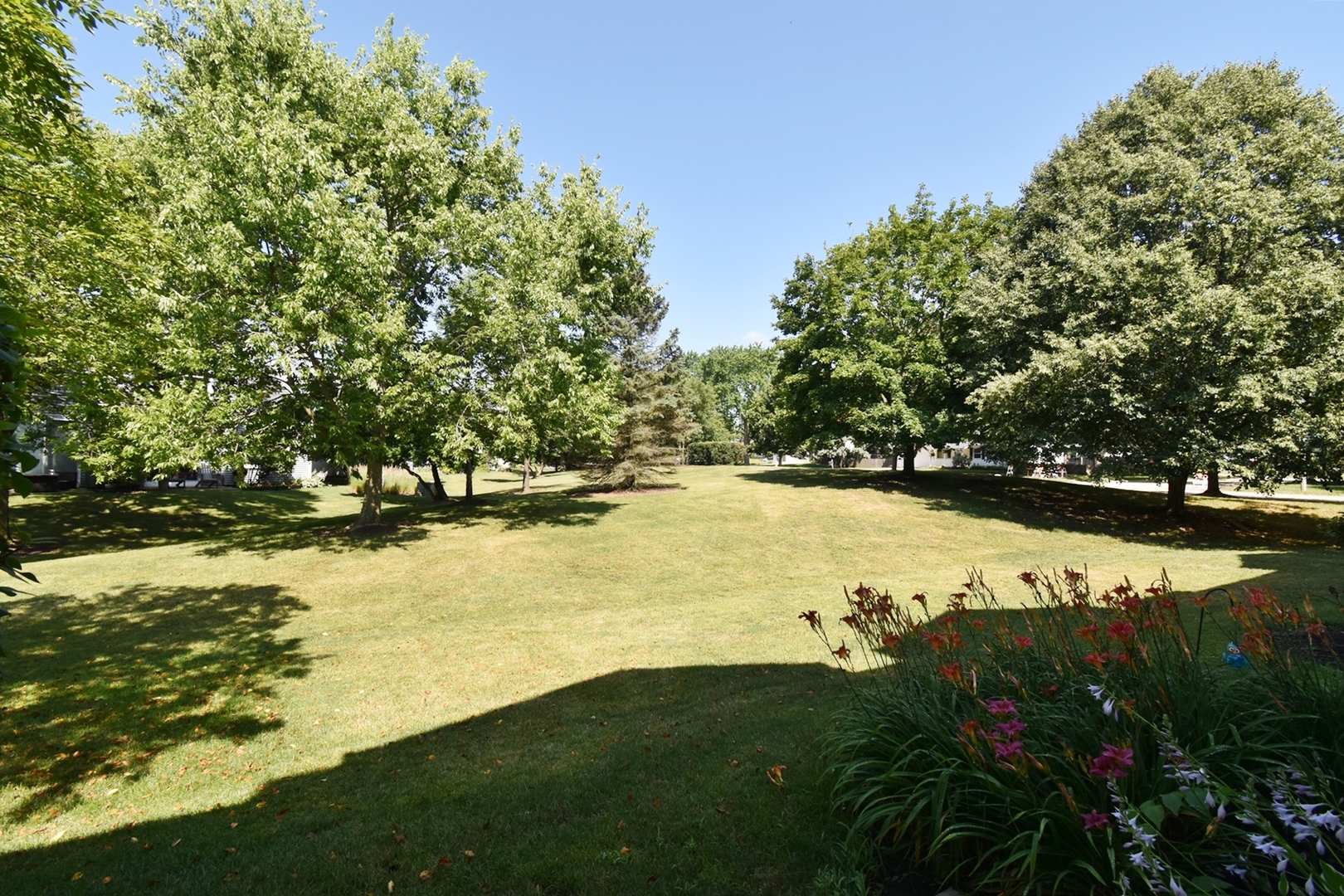1815 Moore Court