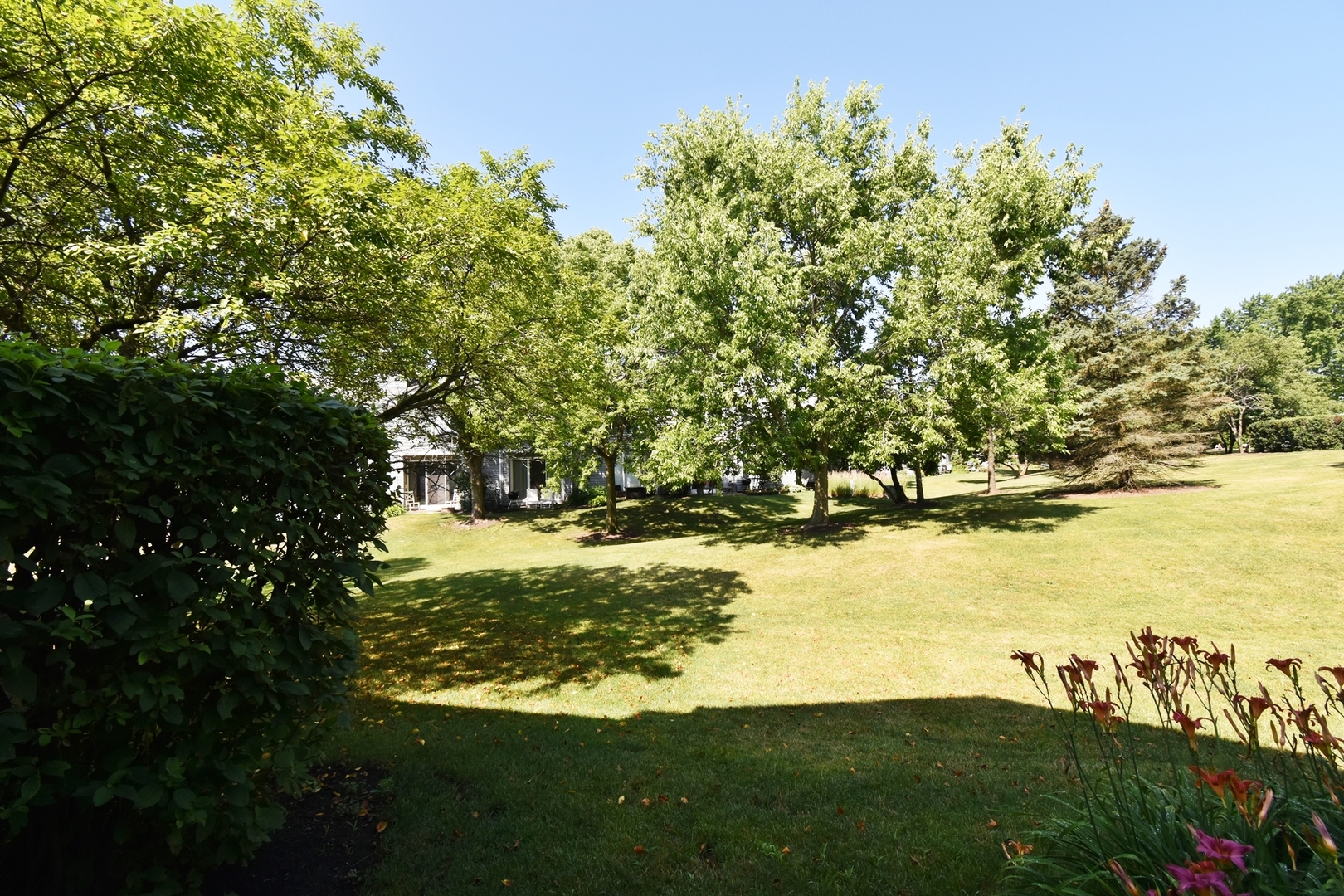 1815 Moore Court
