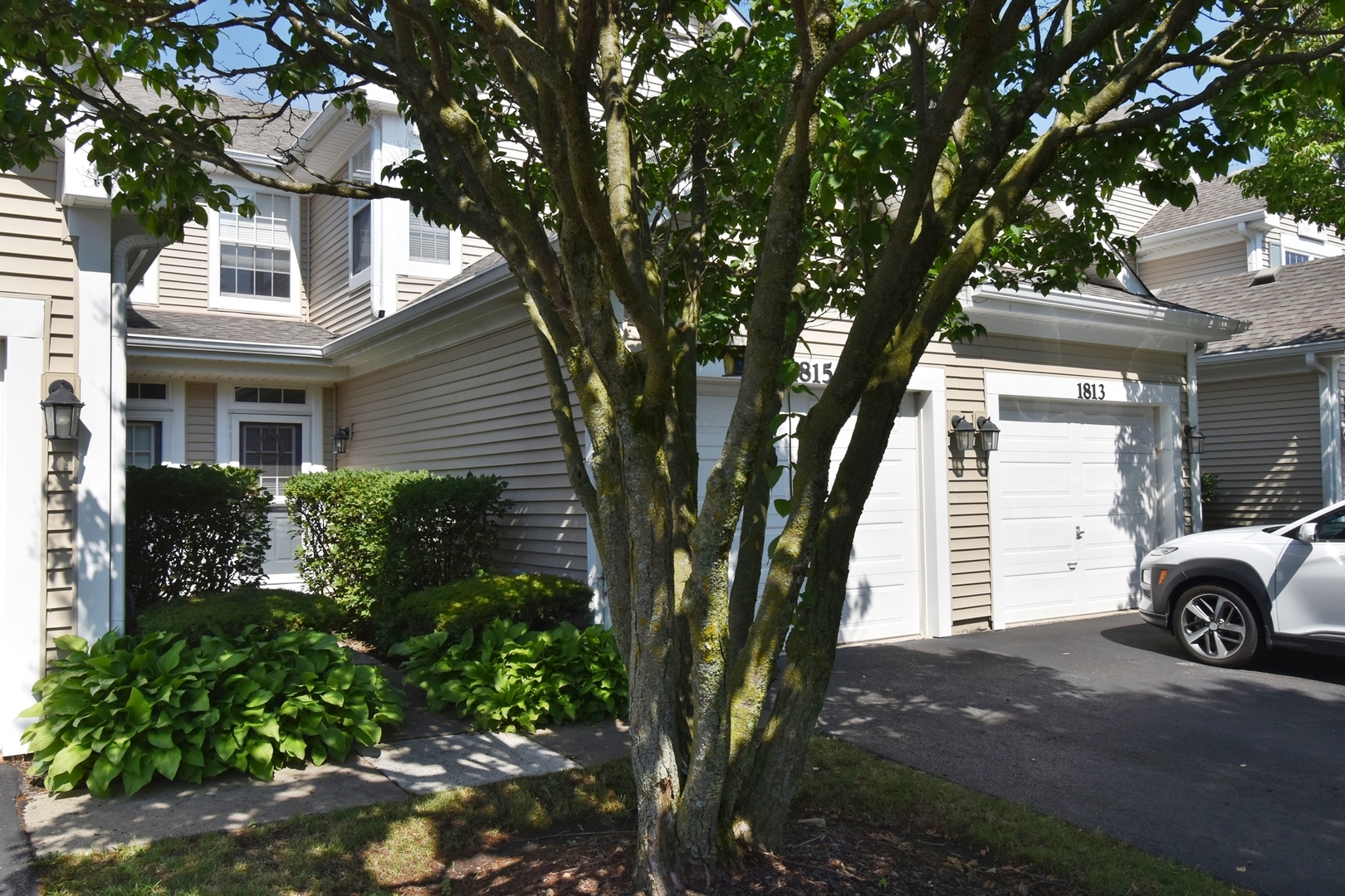 1815 Moore Court
