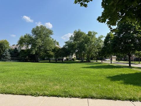 1251 Lansbrook Drive