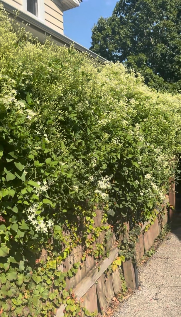 640 Anderson Boulevard