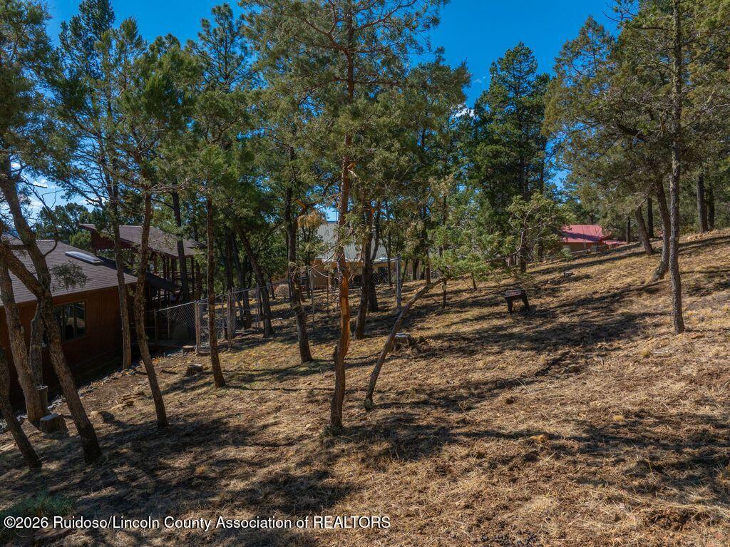 303 LL Davis Drive