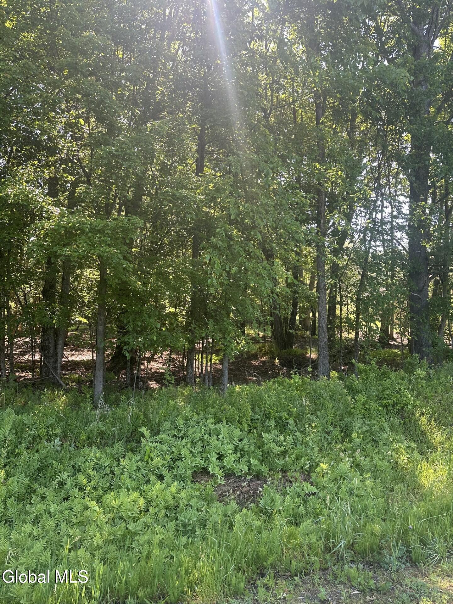L7 Wilton Woods Court