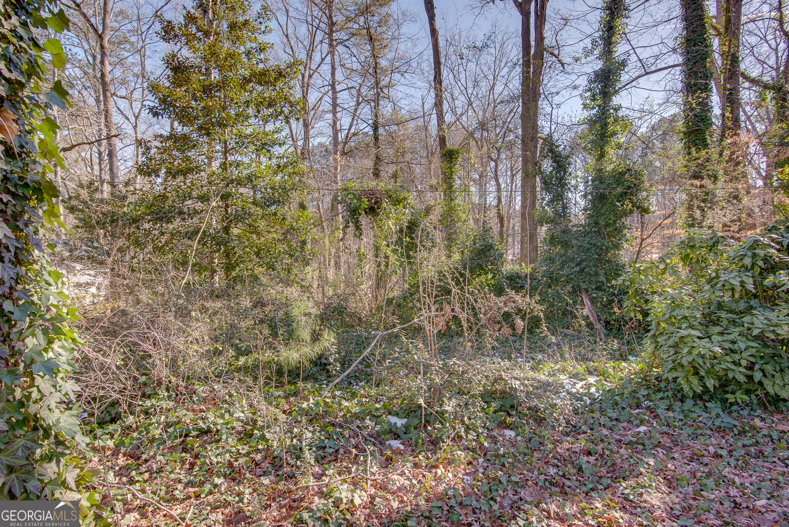 605 Spruce Drive