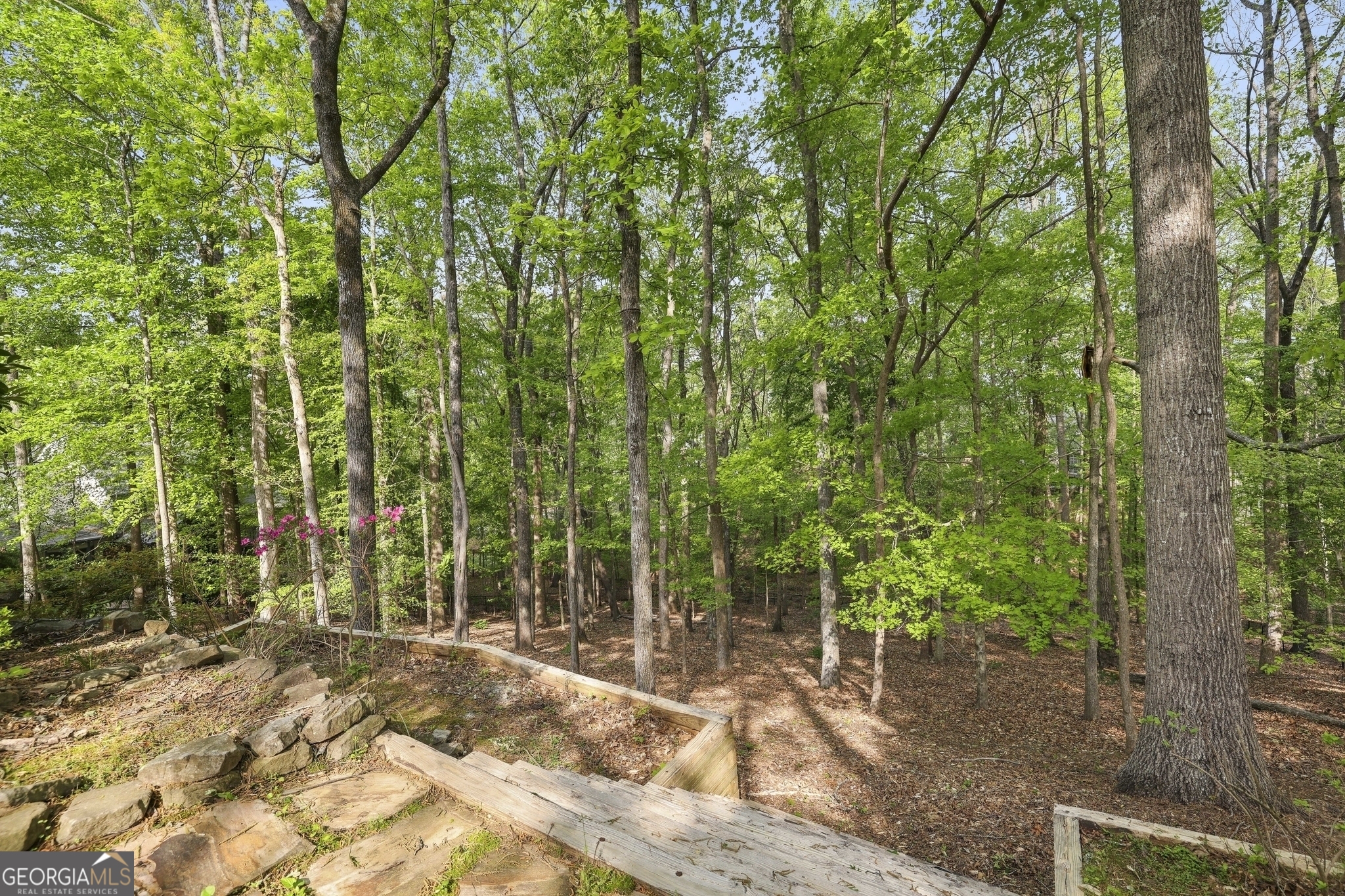 2975 Coles Way