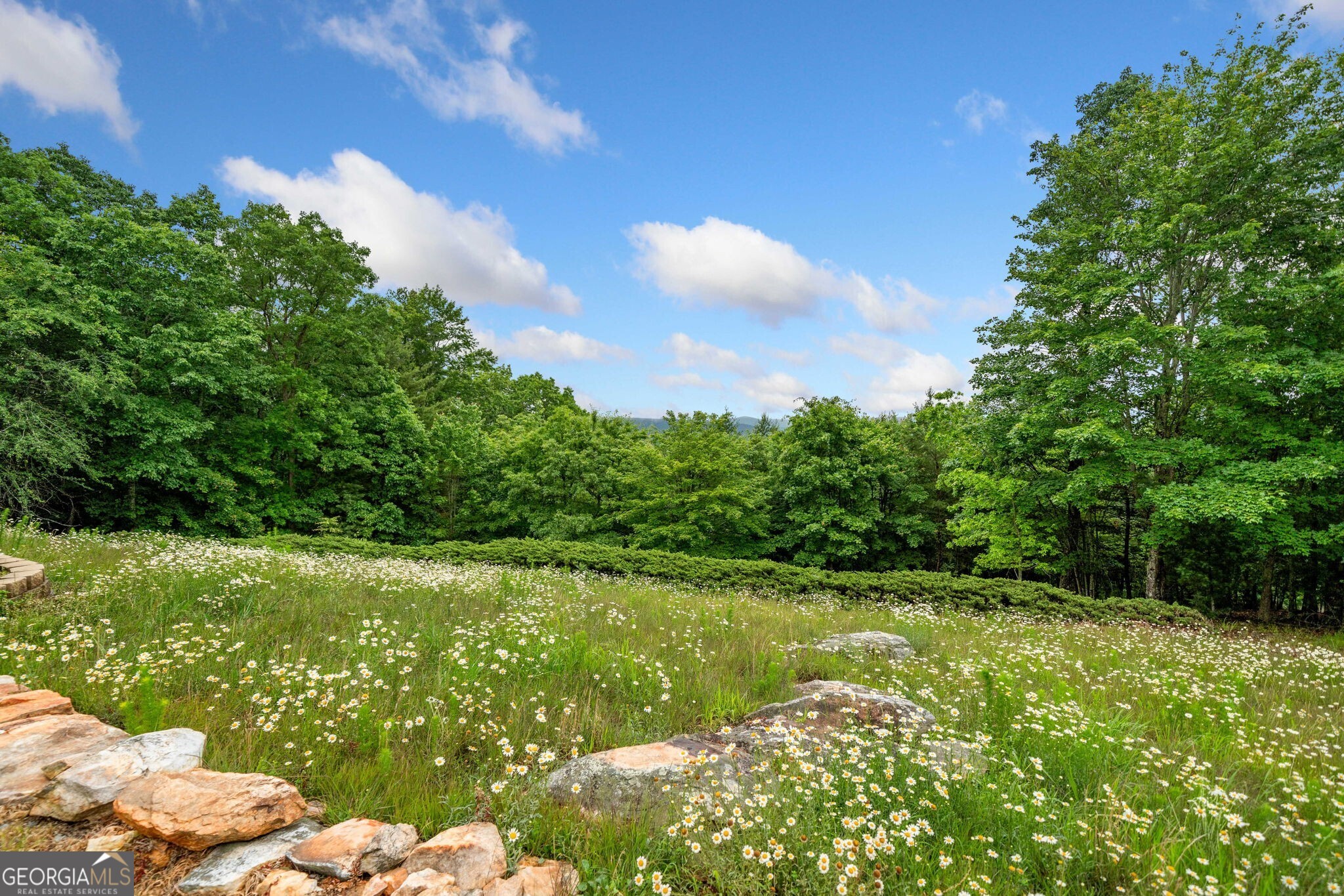 1158 Scenic Mountain View Road