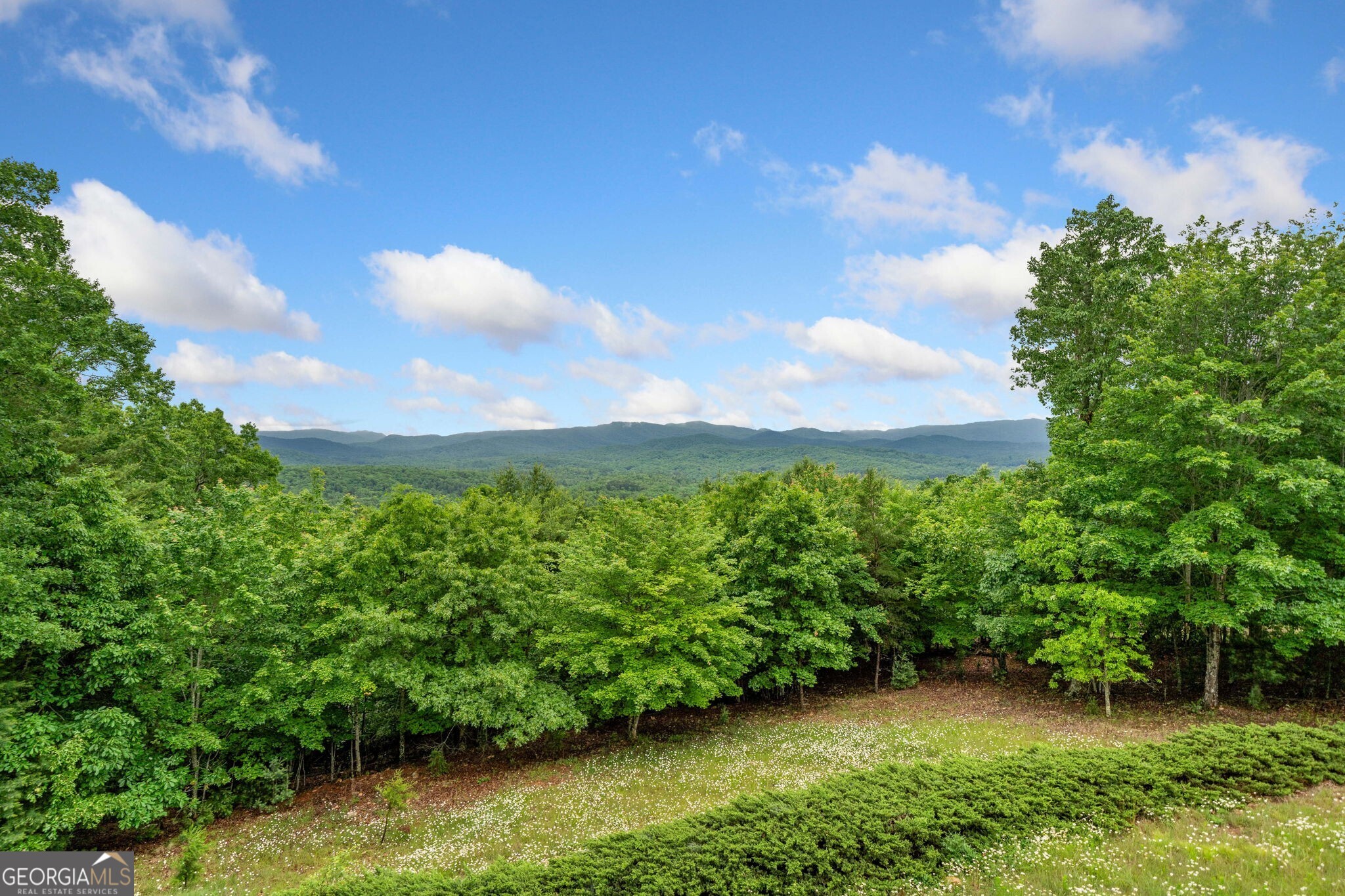 1158 Scenic Mountain View Road