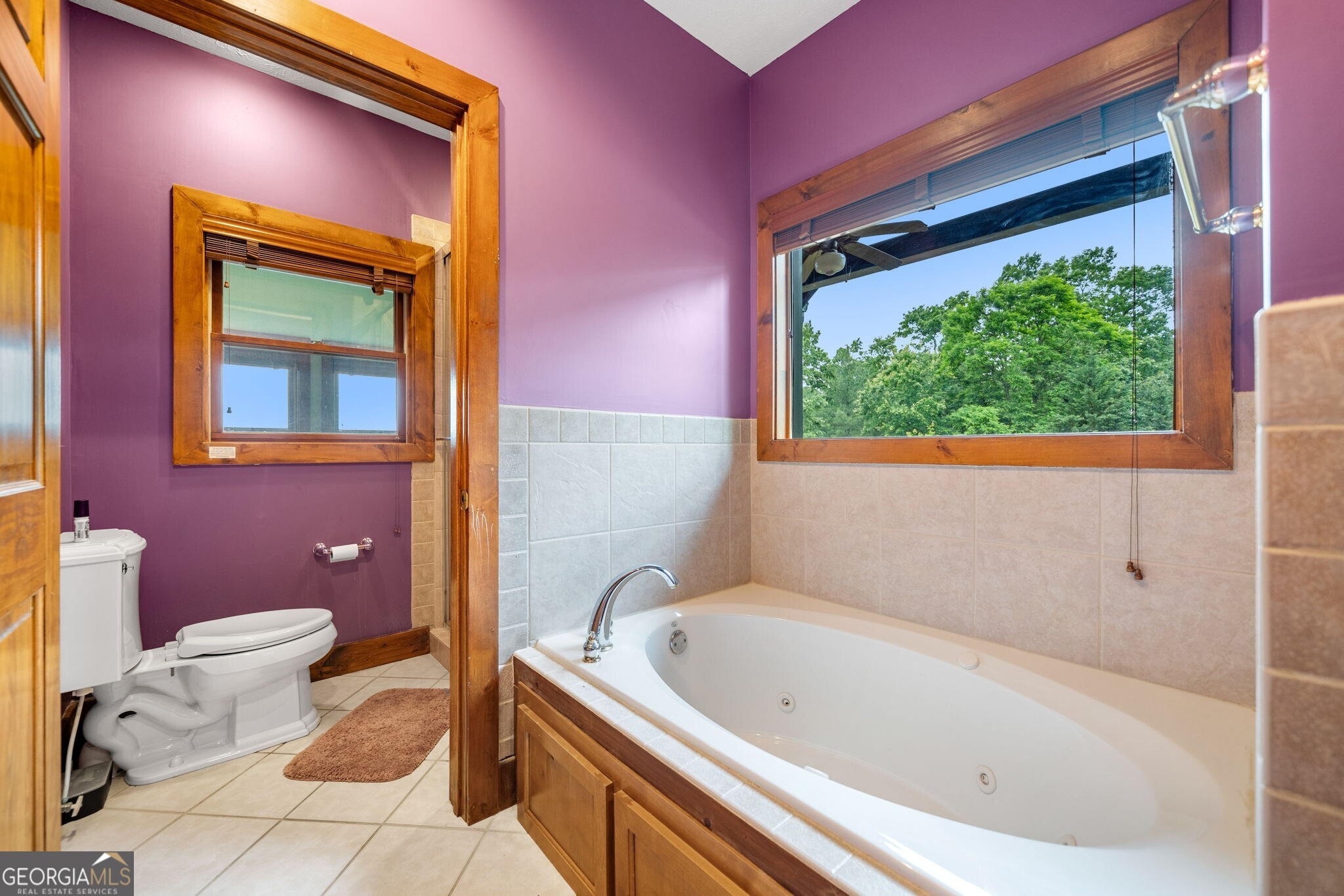 1158 Scenic Mountain View Road