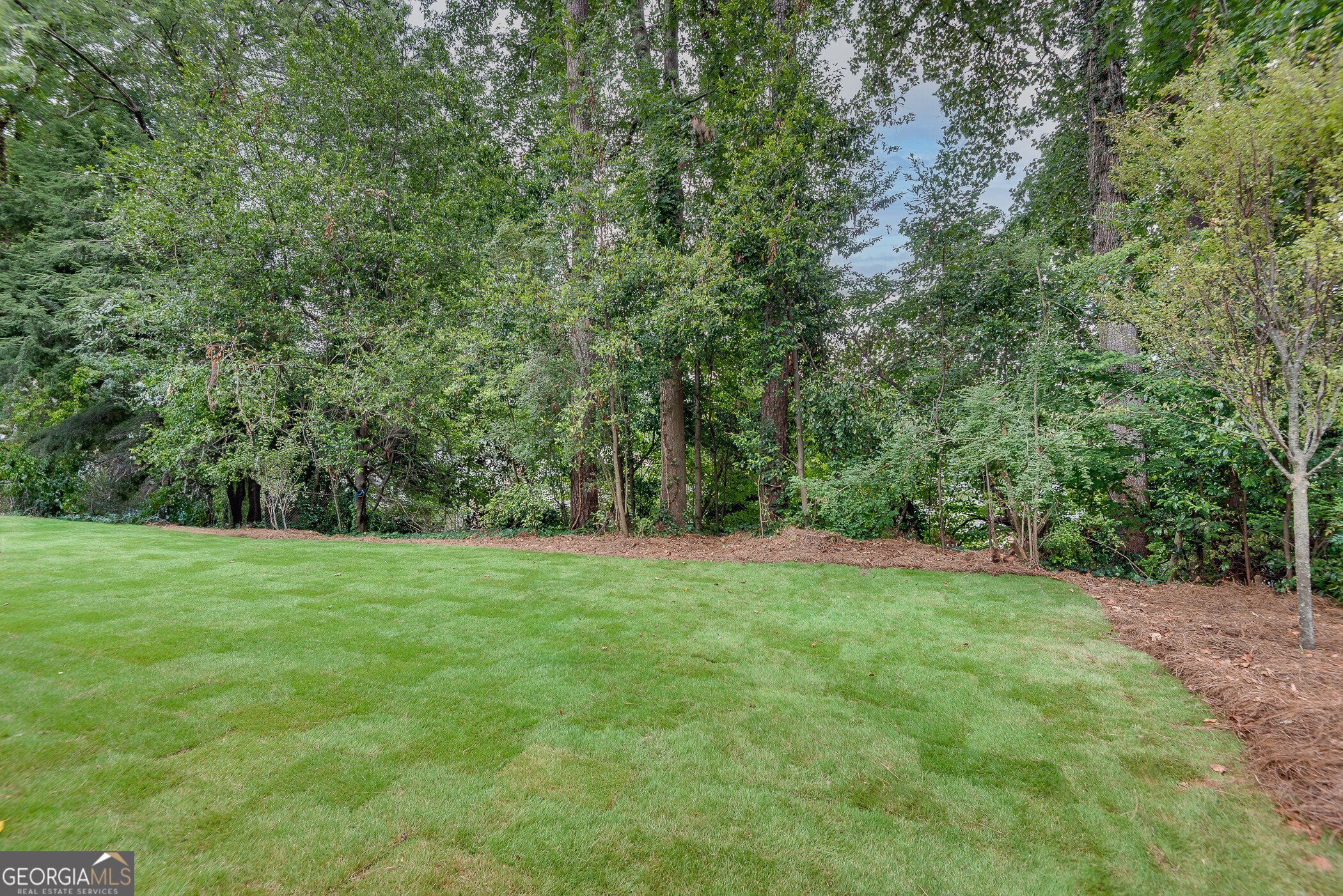 1258 Reeder Circle