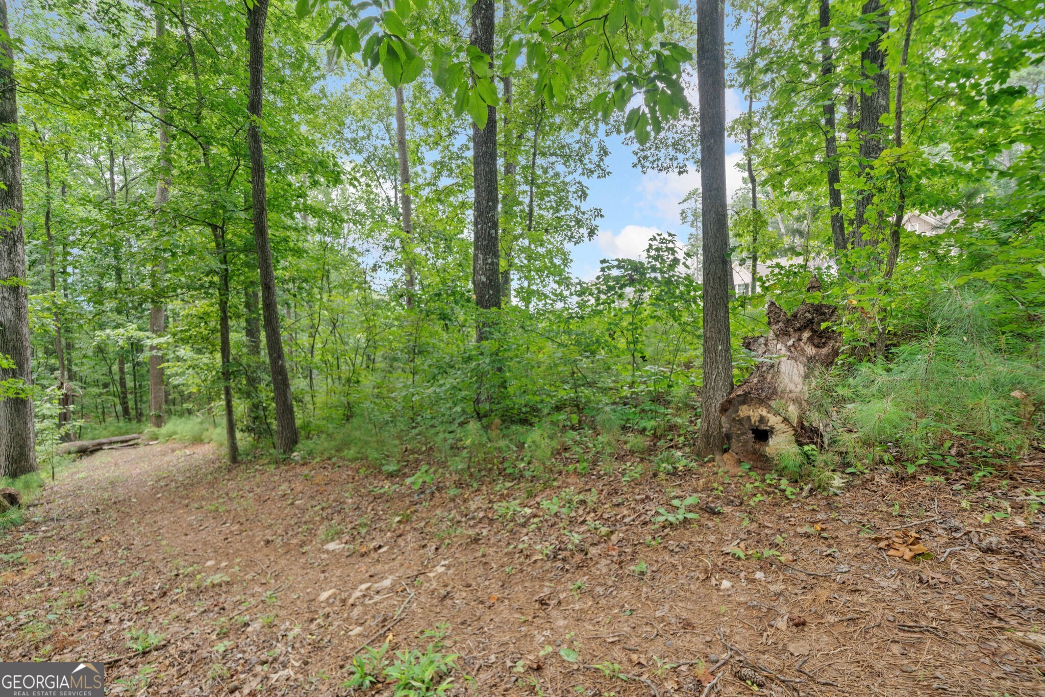 3228 Harmony Hill Trace