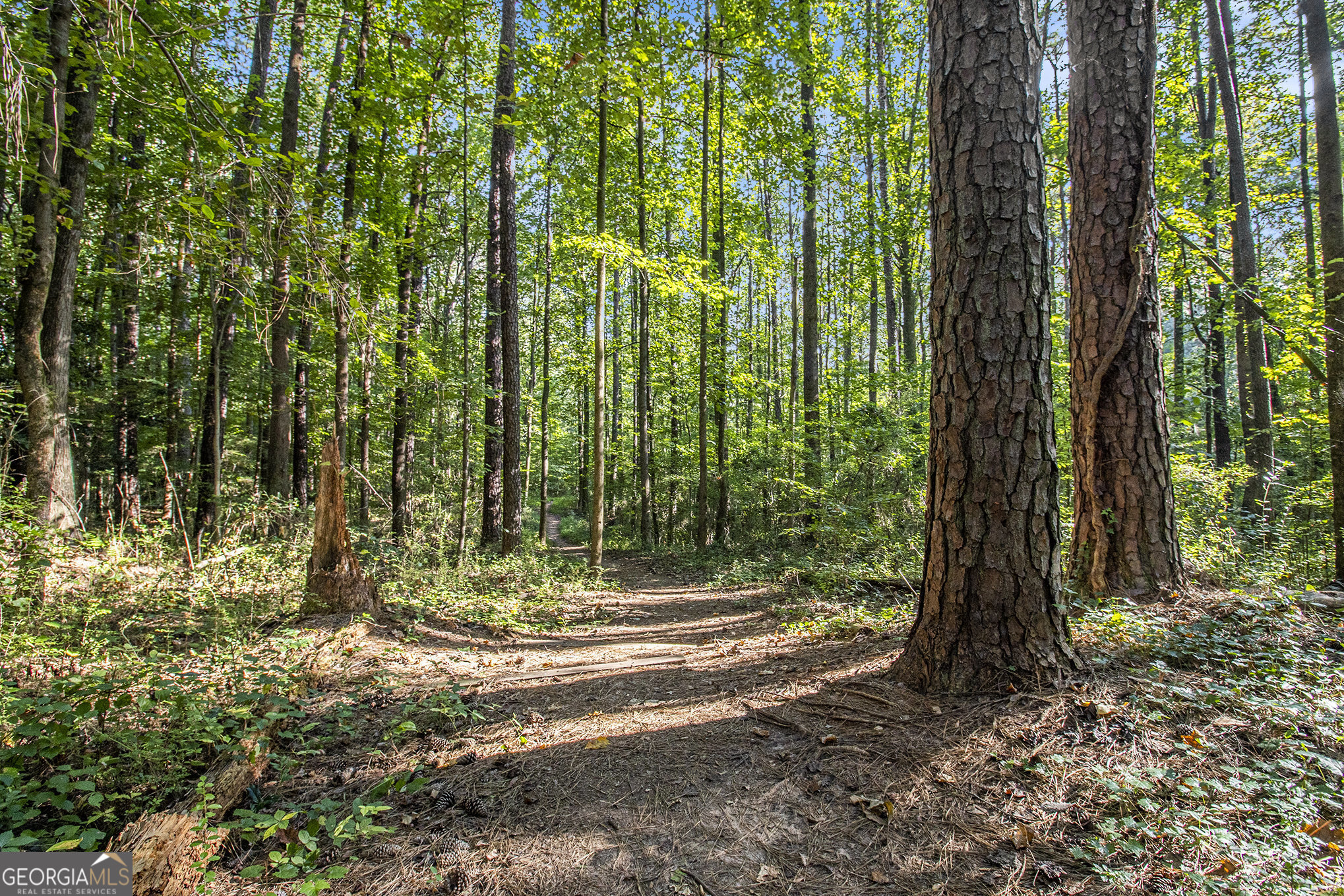 1517 Vancouver Drive