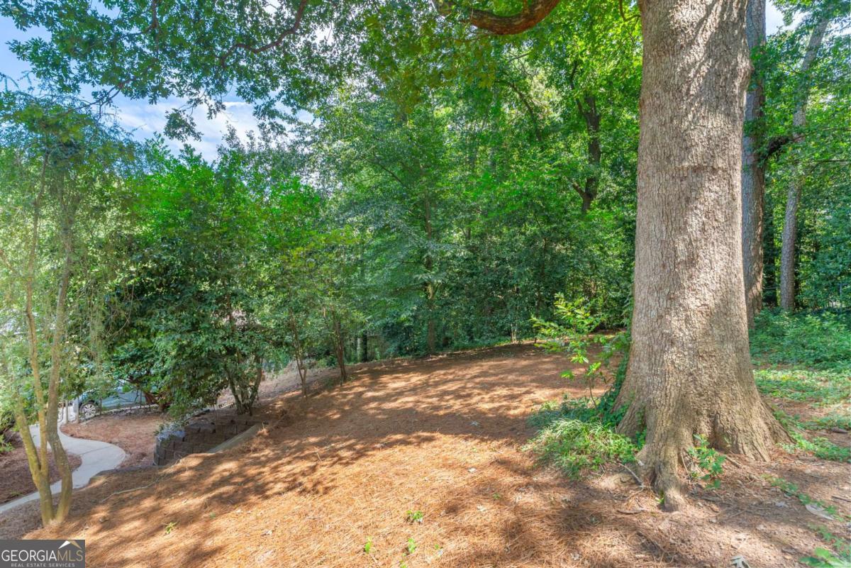 1447 Southland Vista Court NE