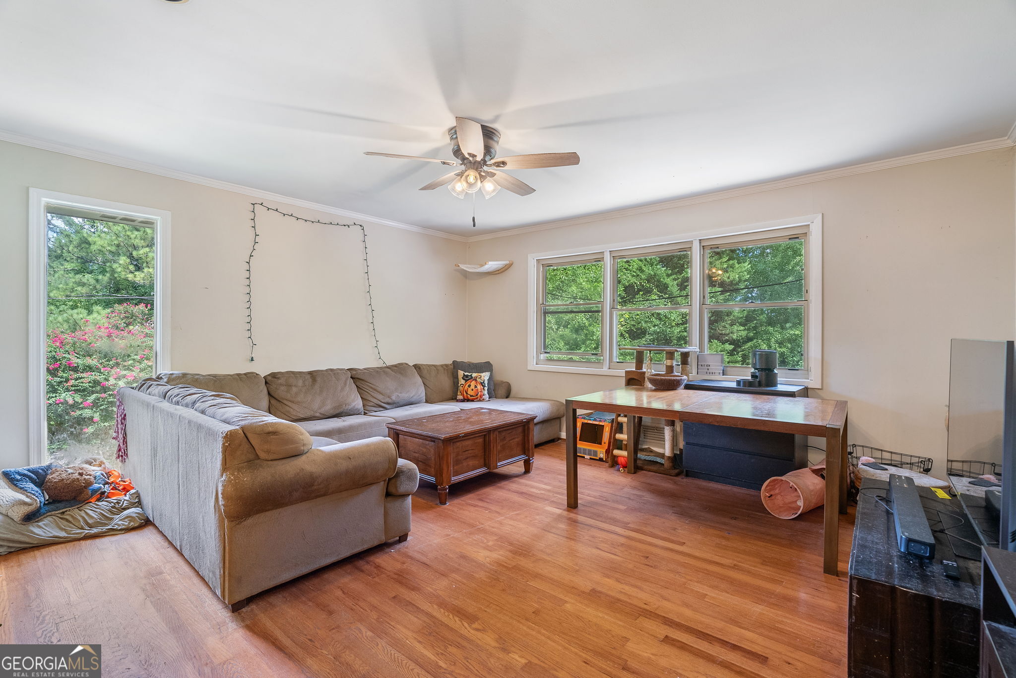 1447 Southland Vista Court NE