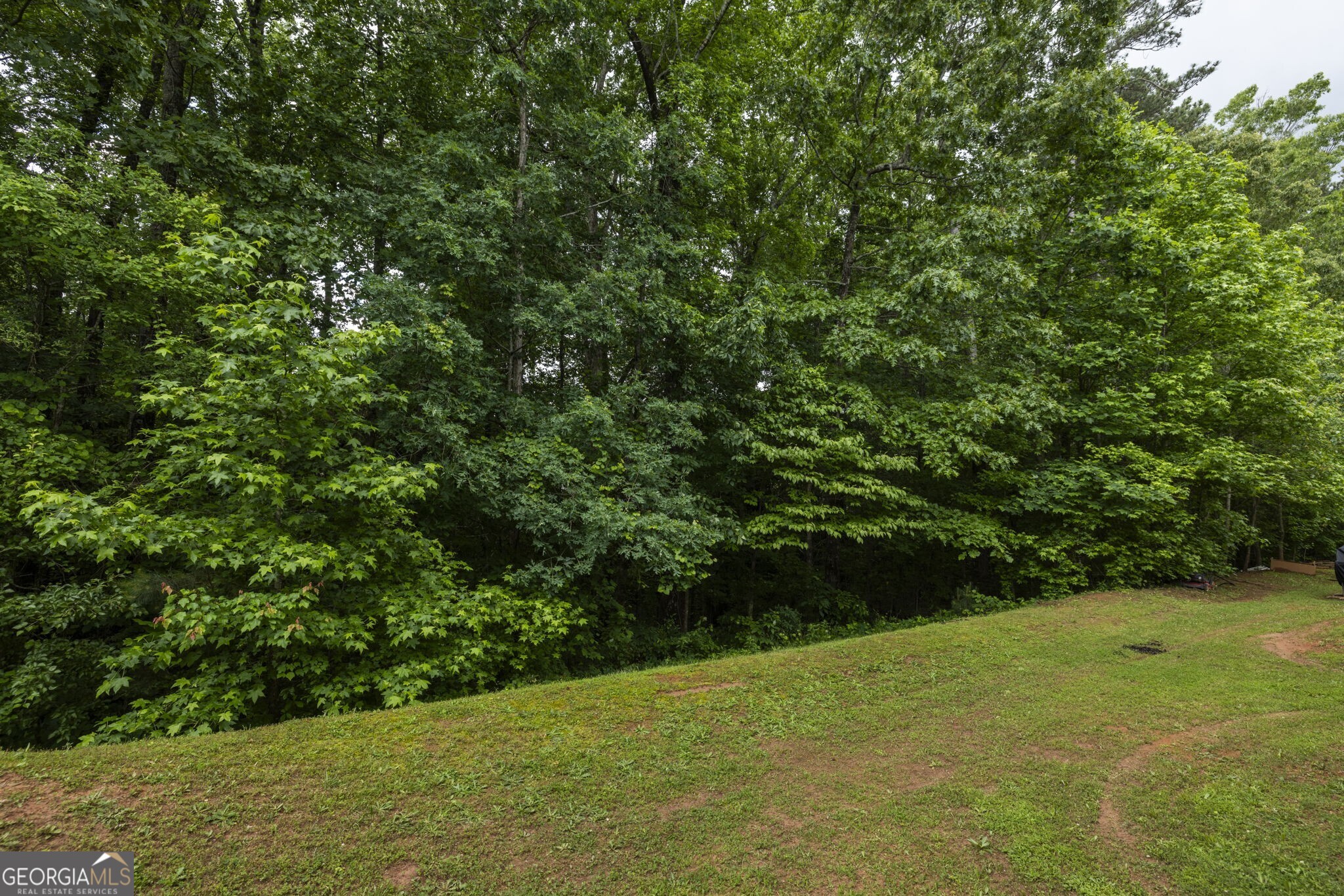 4457 Watson Ridge