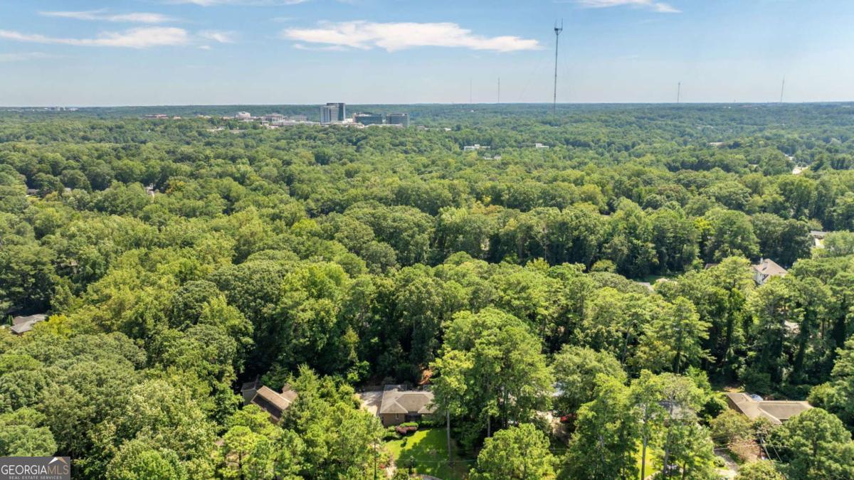 1447 Southland Vista Court NE