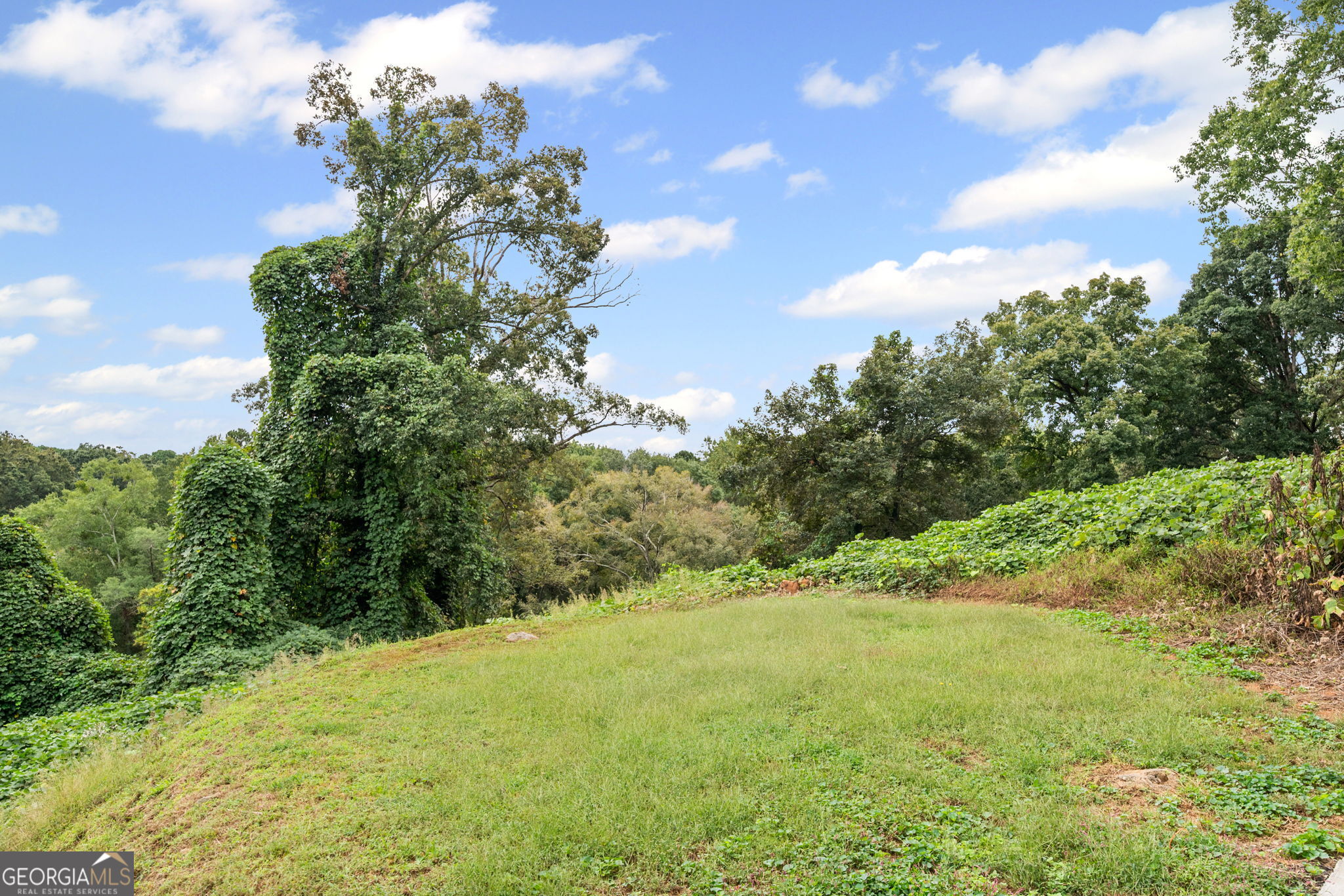 1621 Abner Terrace NW