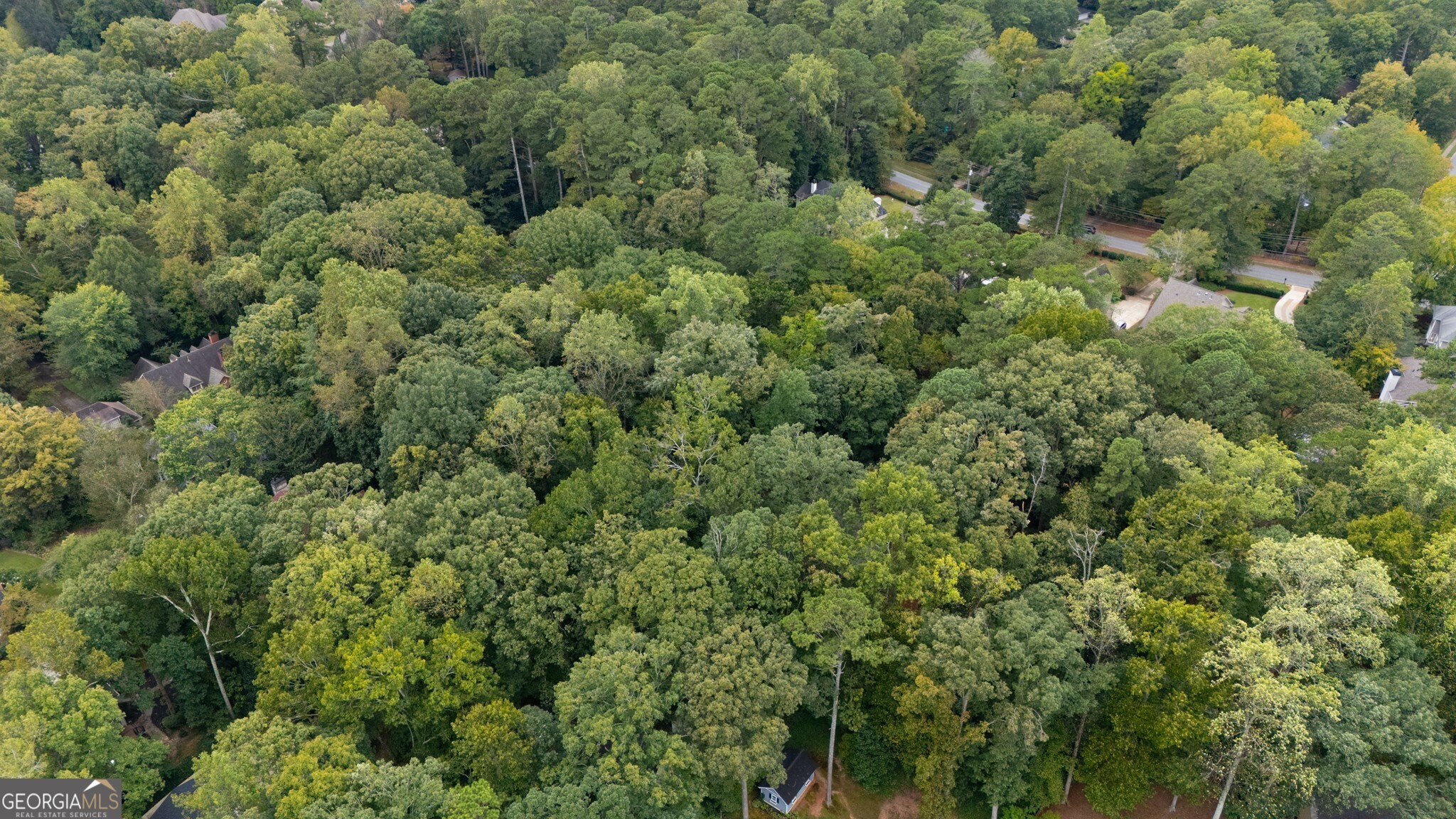 1708 Mason Mill Road NE