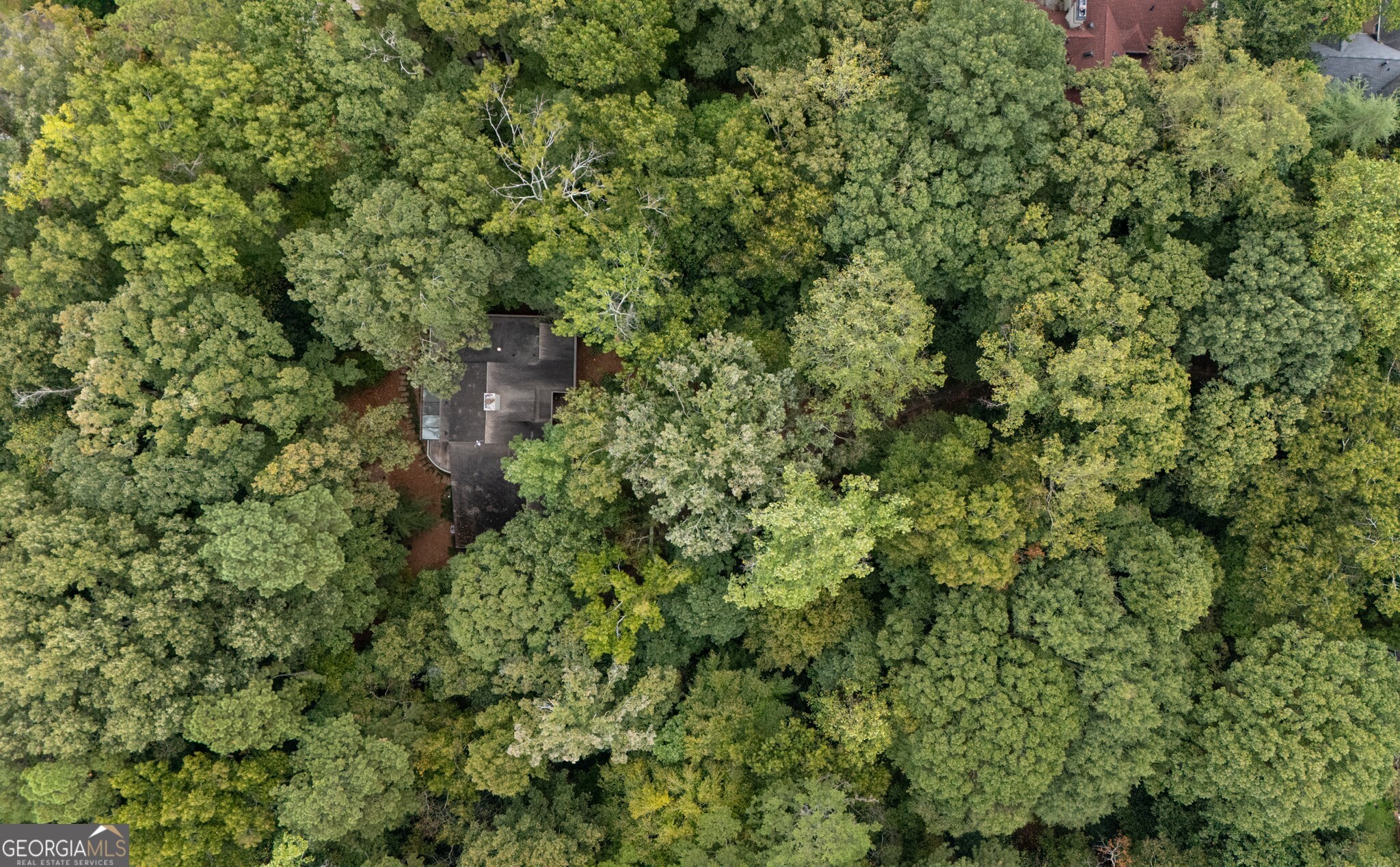 1708 Mason Mill Road NE