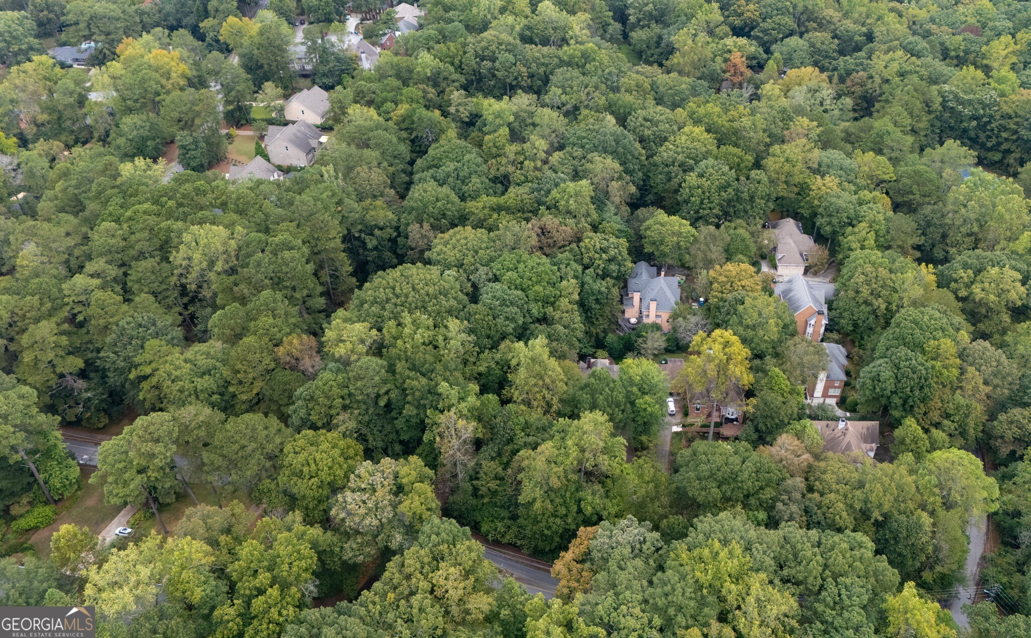 1708 Mason Mill Road NE