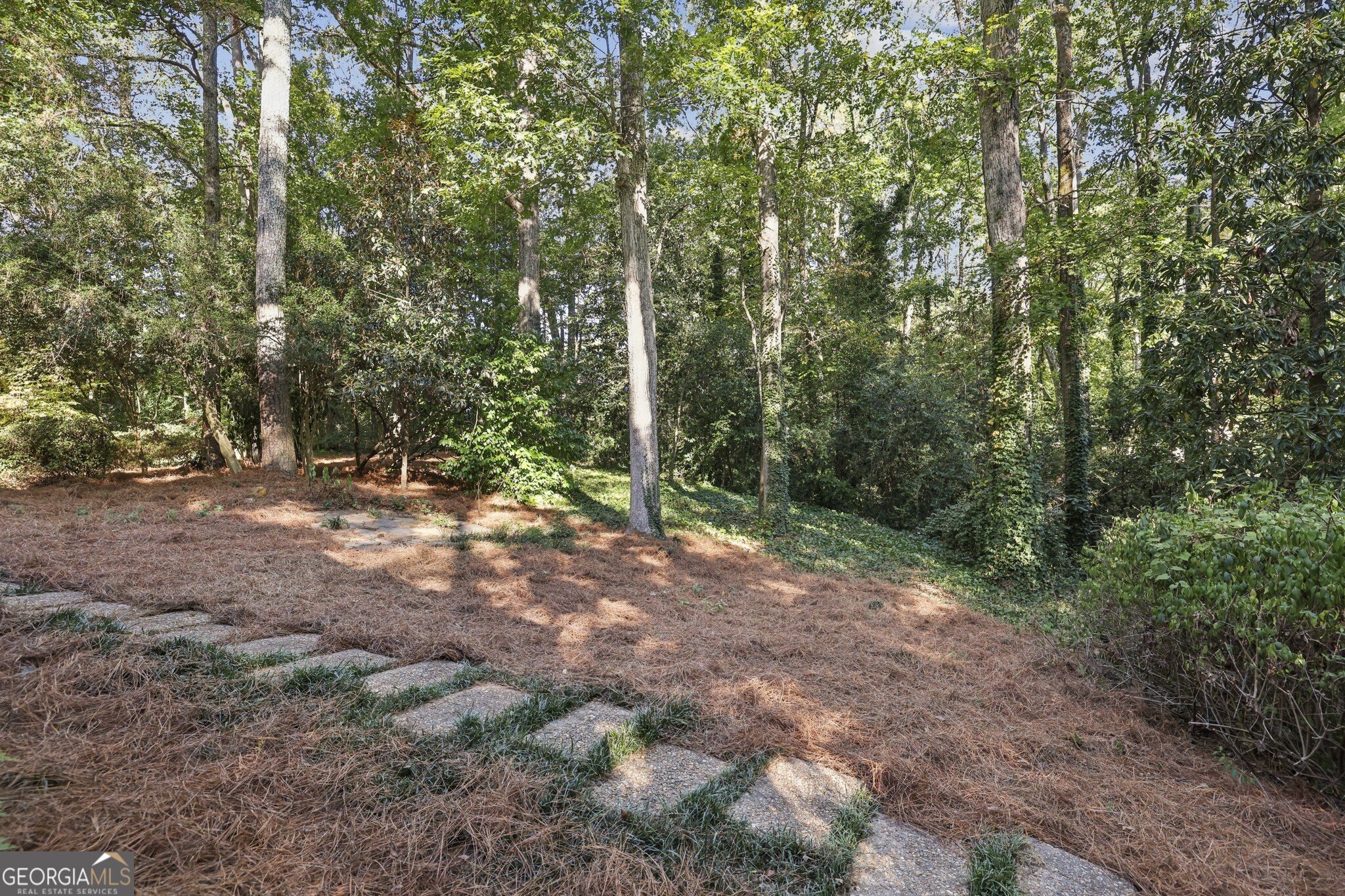 1708 Mason Mill Road NE