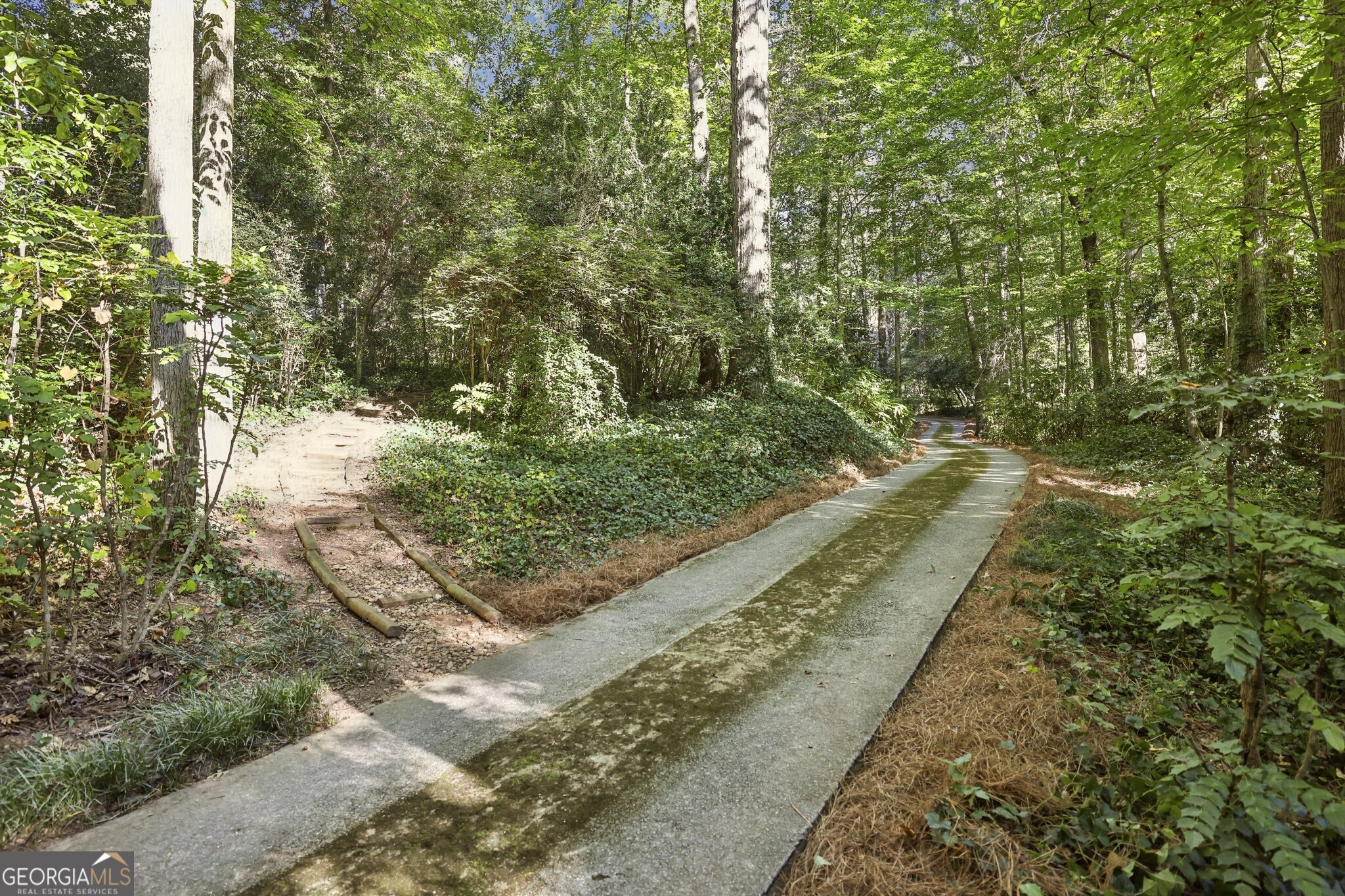 1708 Mason Mill Road NE